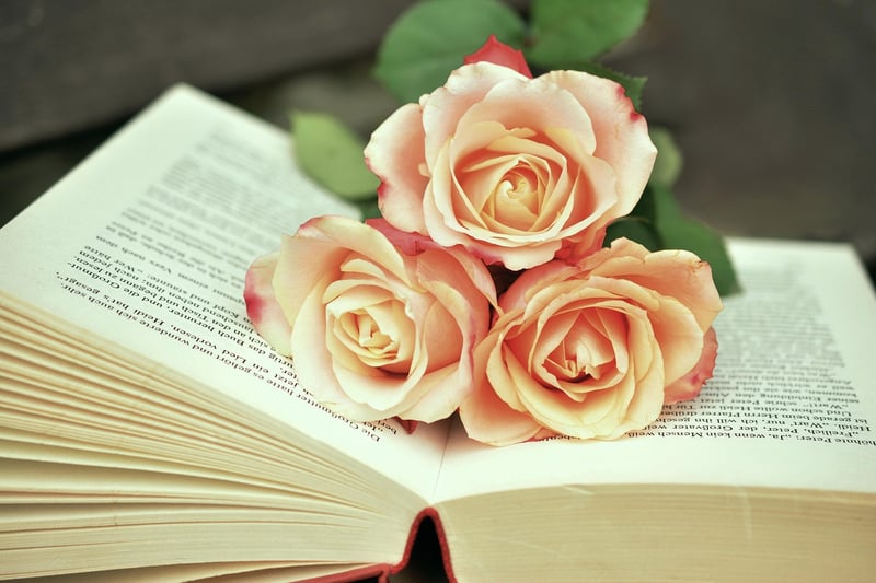 Outlander Book Series